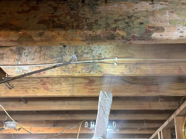 illustration de l'utilisation de la glace carbonique pour retirer des moisissures.